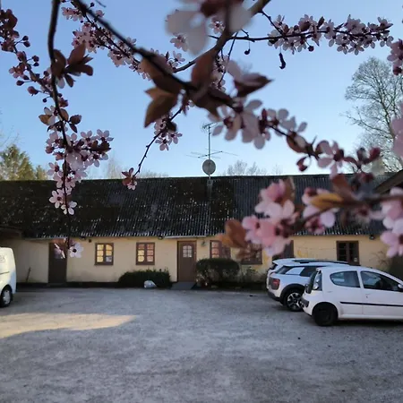 Privat bolig Cozy House *