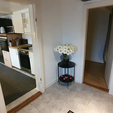 Cozy House Homestay *