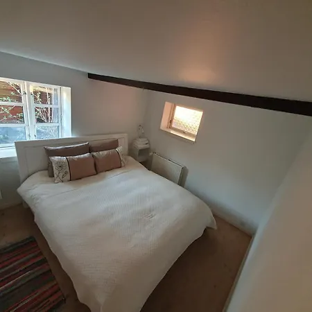 Cozy House *