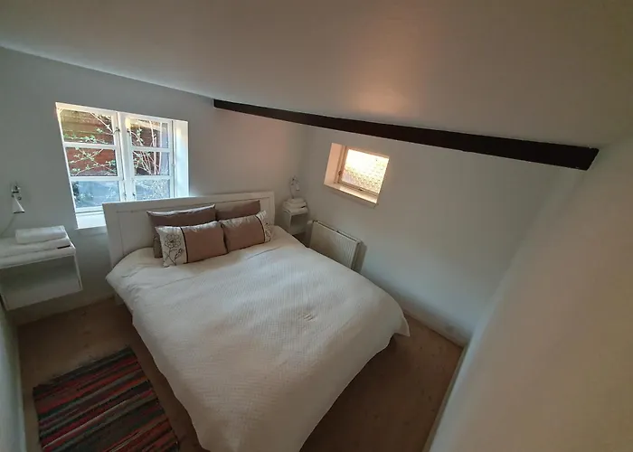 Cozy House *